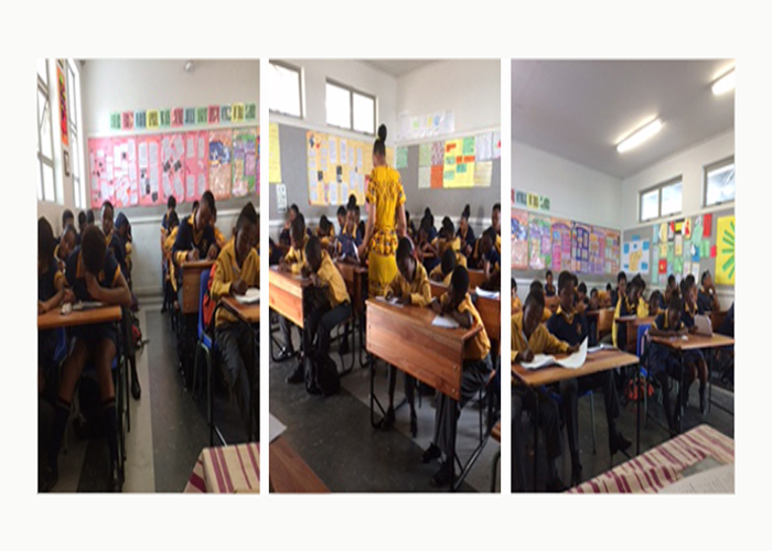 Mathematics Development Programme: Kwanokuthula Primary 2018 results speak volumes