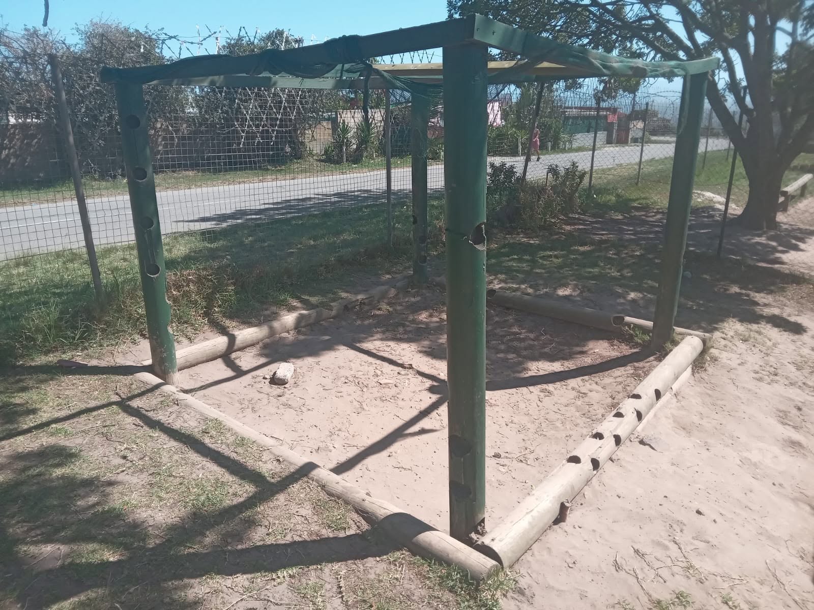 Big things are coming for the little ones at Formosa Primary!